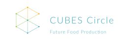 CUBES Cirlce Logo.png