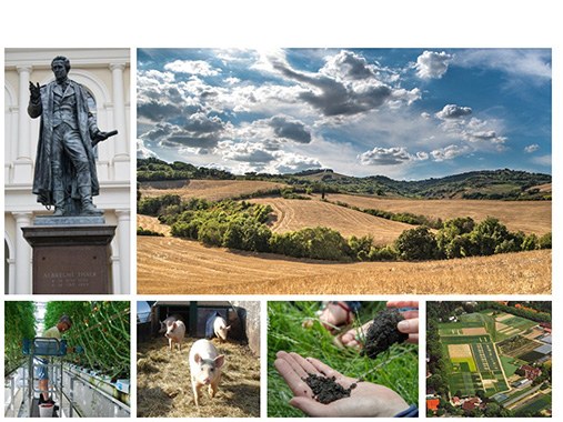 Thaer-Institut HU Berlin