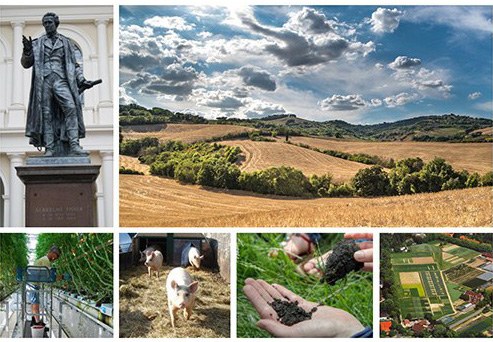 Startcollage_dt_50_ohne Rand