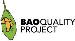 Logo Baoquality
