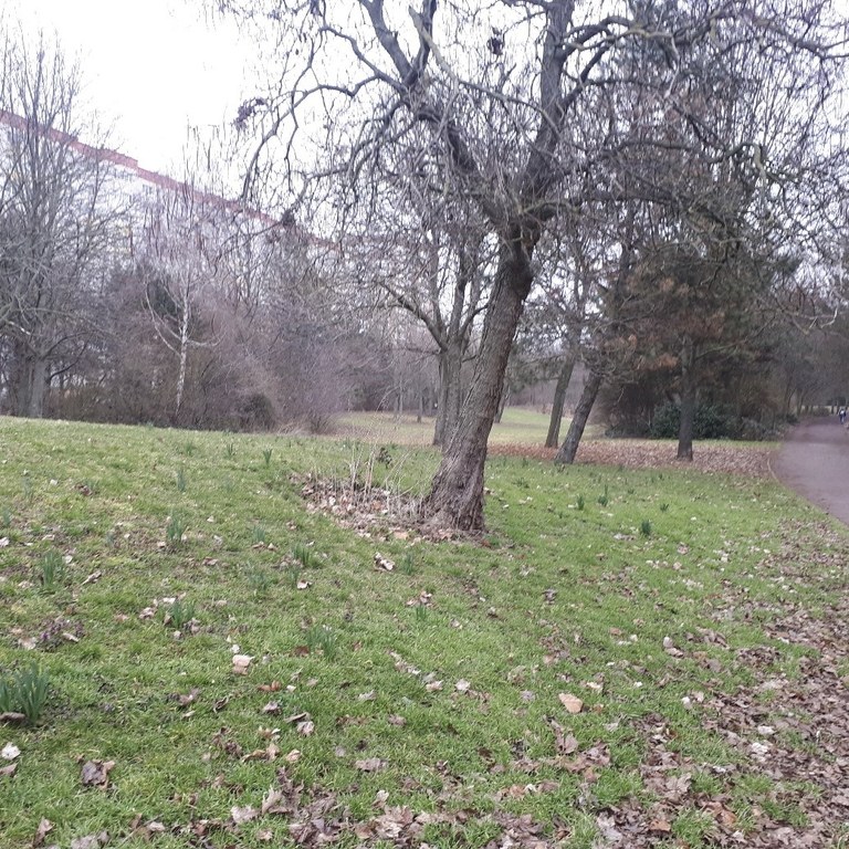 DBU Projekt Foto