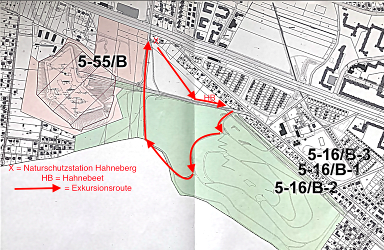 Karte_Hahneberg_mit Exkursionsroute.png