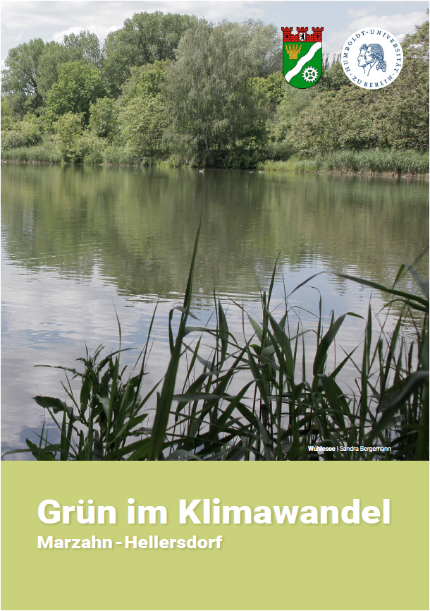 Broschüre Grün im Klimawandel.png