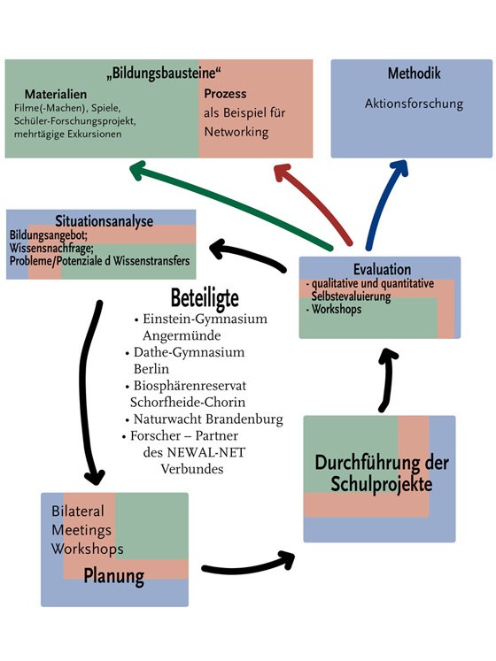 vorgehensweise