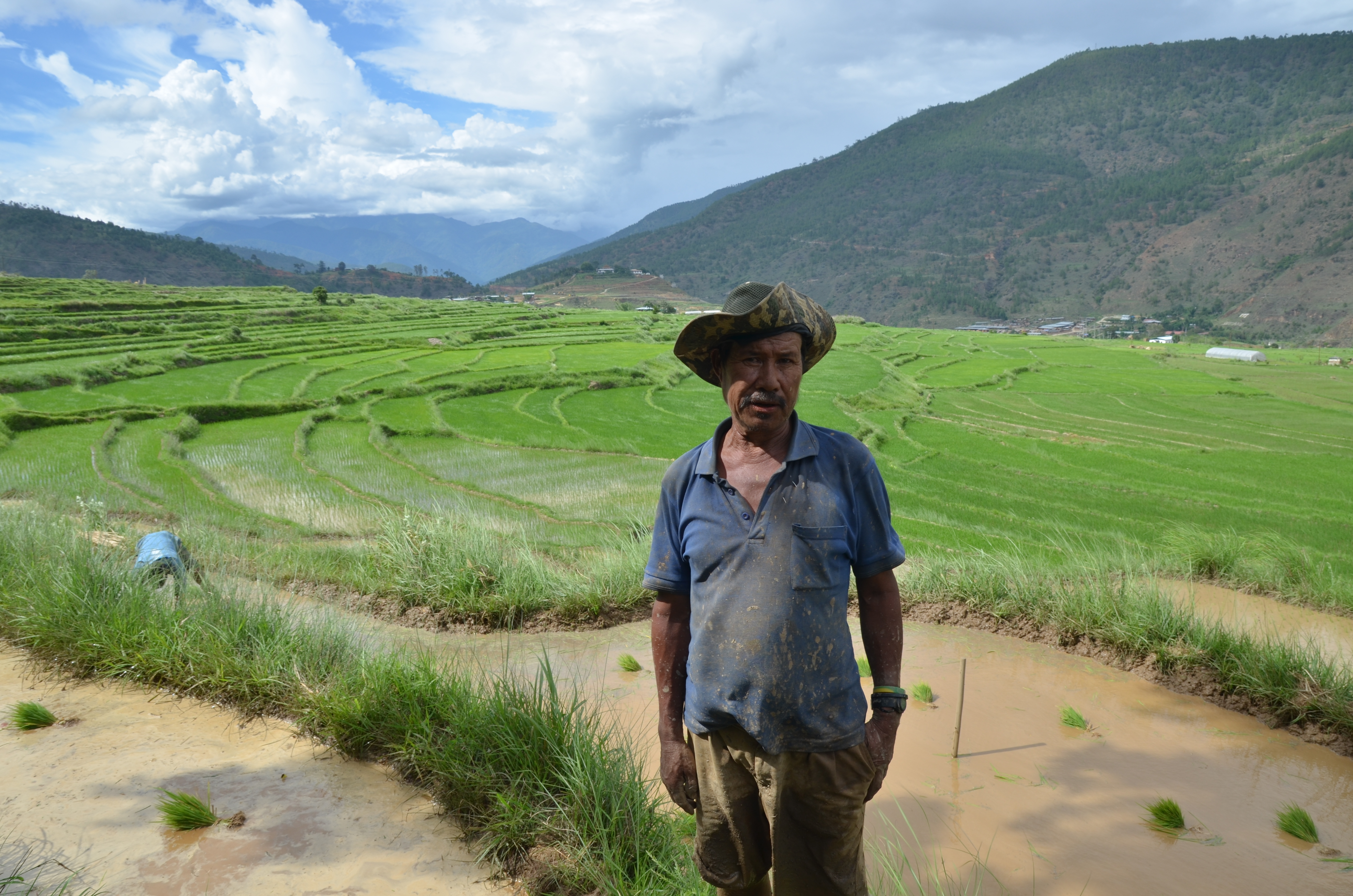 3 Punakha valley paddy farmer.JPG