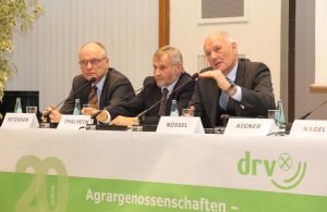 bild2
