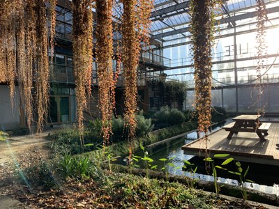 Lumen auf dem Campus Wageningen