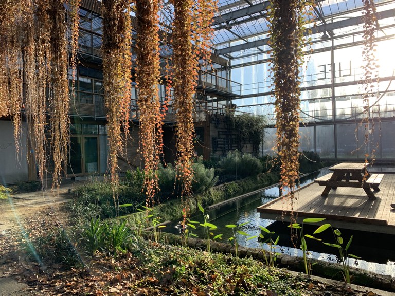 "Lumen" auf dem Campus der Wageningen University and Research
