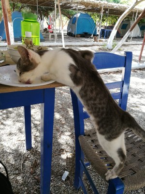 The socio-ecological system at work