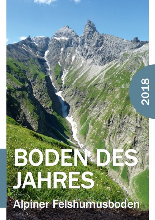 Alpiner Felshumusboden