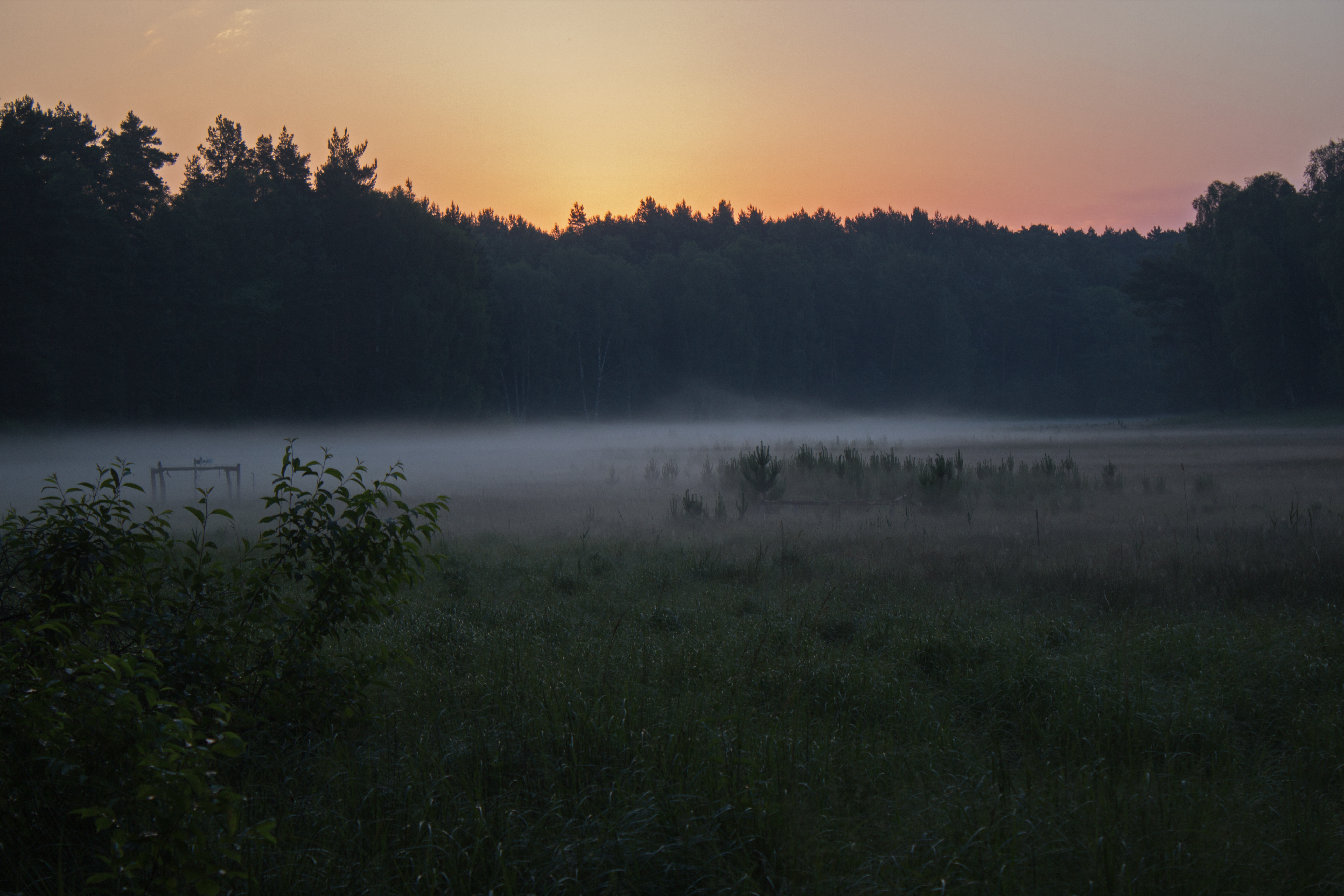 2014_06_09 Möllersches Luch vor Sonnenaufgang.jpg