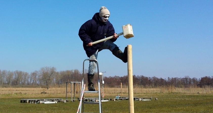 Elektrozaunbau für Wasserbüffel.jpg