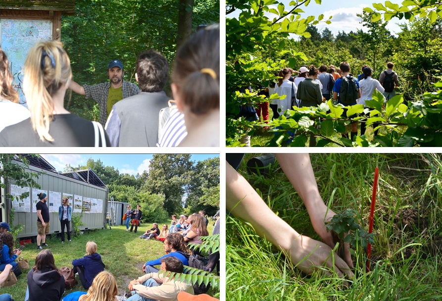 Klimawald Collage.jpg