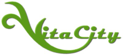 Logo VitaCity logo