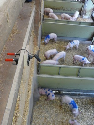 Blick von oben in Schweinebuchten Blick von oben in Schweinebuchten