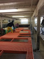 Aufbau des Stalls