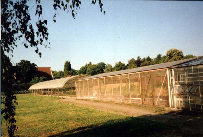 institut25.jpg