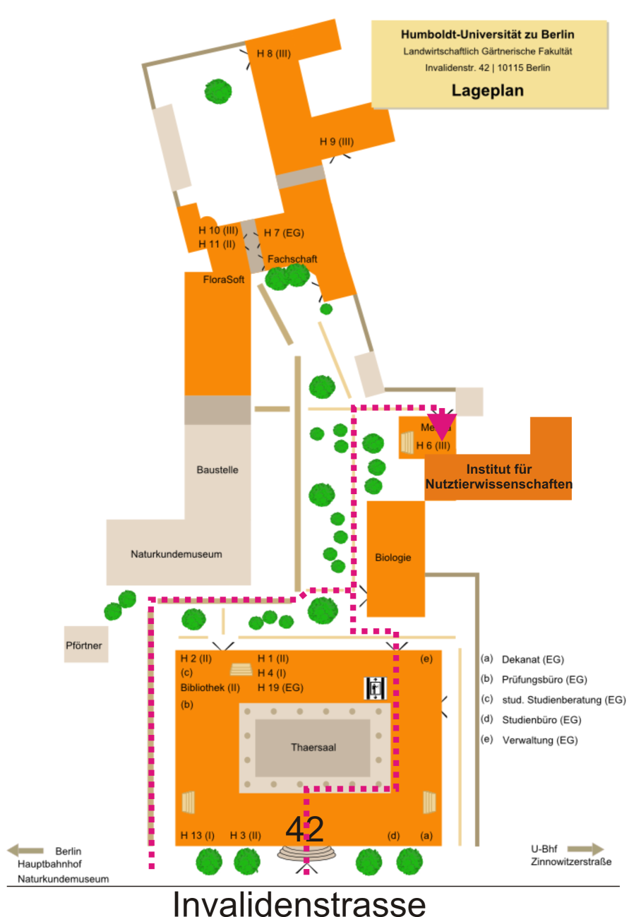 Lageplan Ostbau