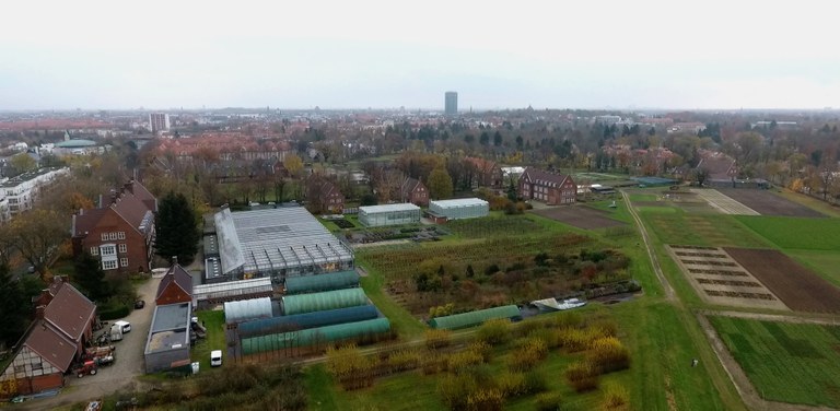 Foto Dahlem