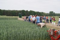 Praxisinformationstag in Thyrow zum Thema „Präzision im Pflanzenbau“