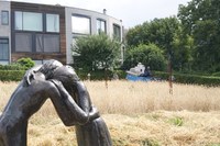 11 Jahre Friedensbrot – Roggen an der Bernauer Straße geerntet