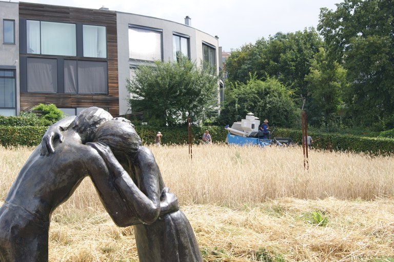 11 Jahre Friedensbrot – Roggen an der Bernauer Straße geerntet 11 Jahre Friedensbrot – Roggen an der Bernauer Straße geerntet