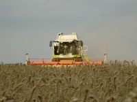 Versuchsmaschine im Einsatz