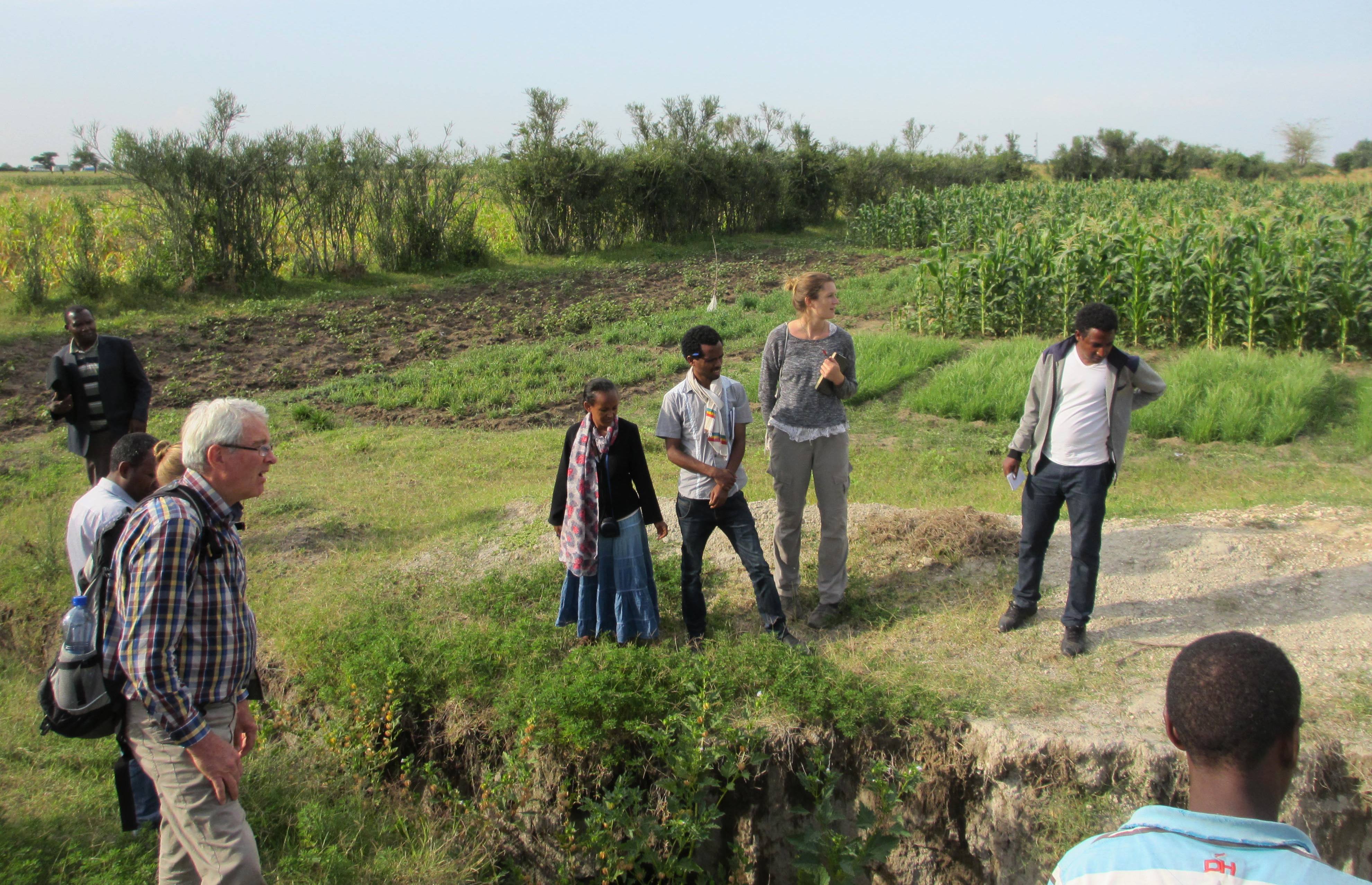 Students and staff visiting the demonstration field of a Farmer Training Center, Meki area
