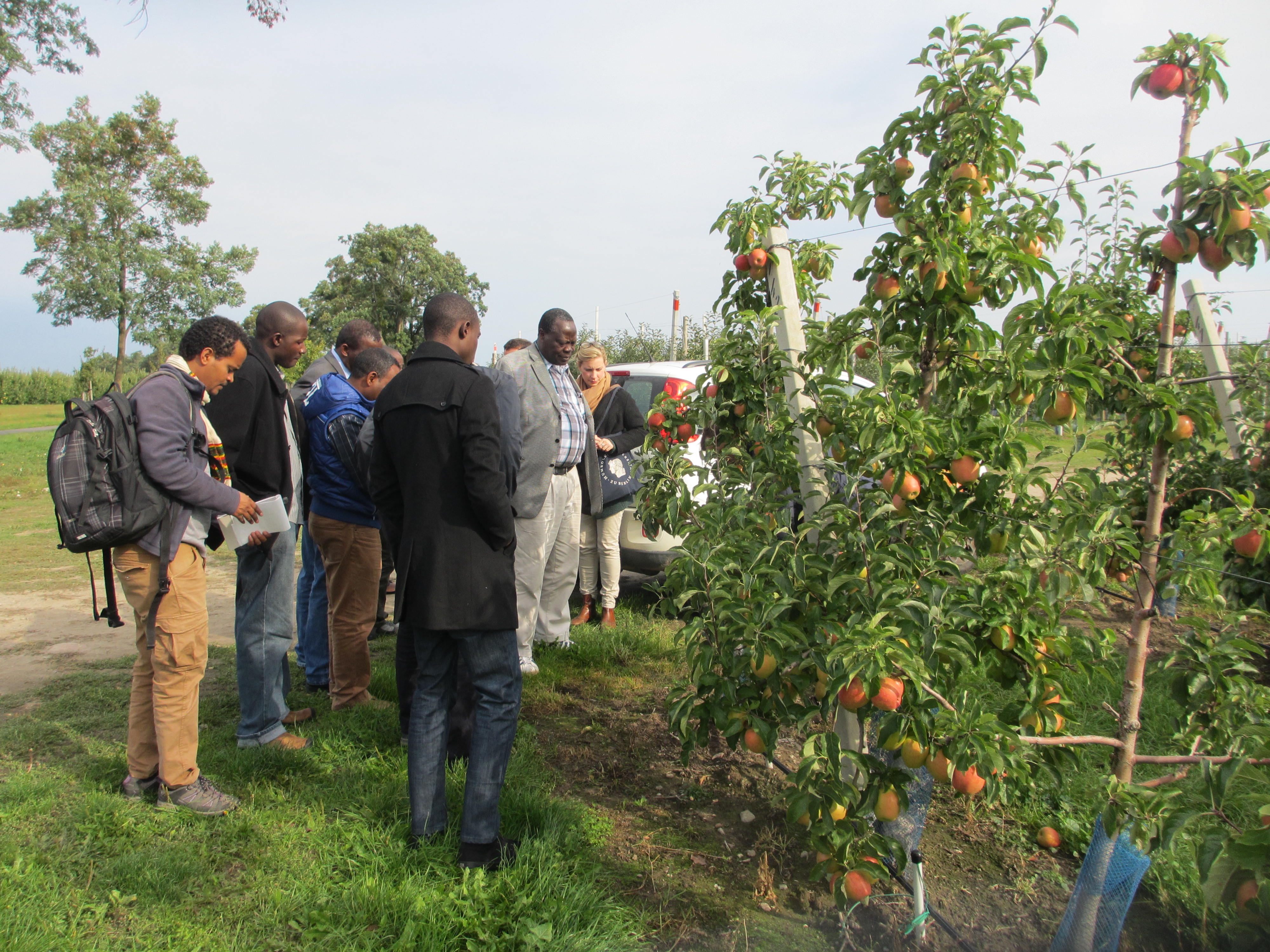 Excursion during the Annual Workshop at Brandenburger Obst