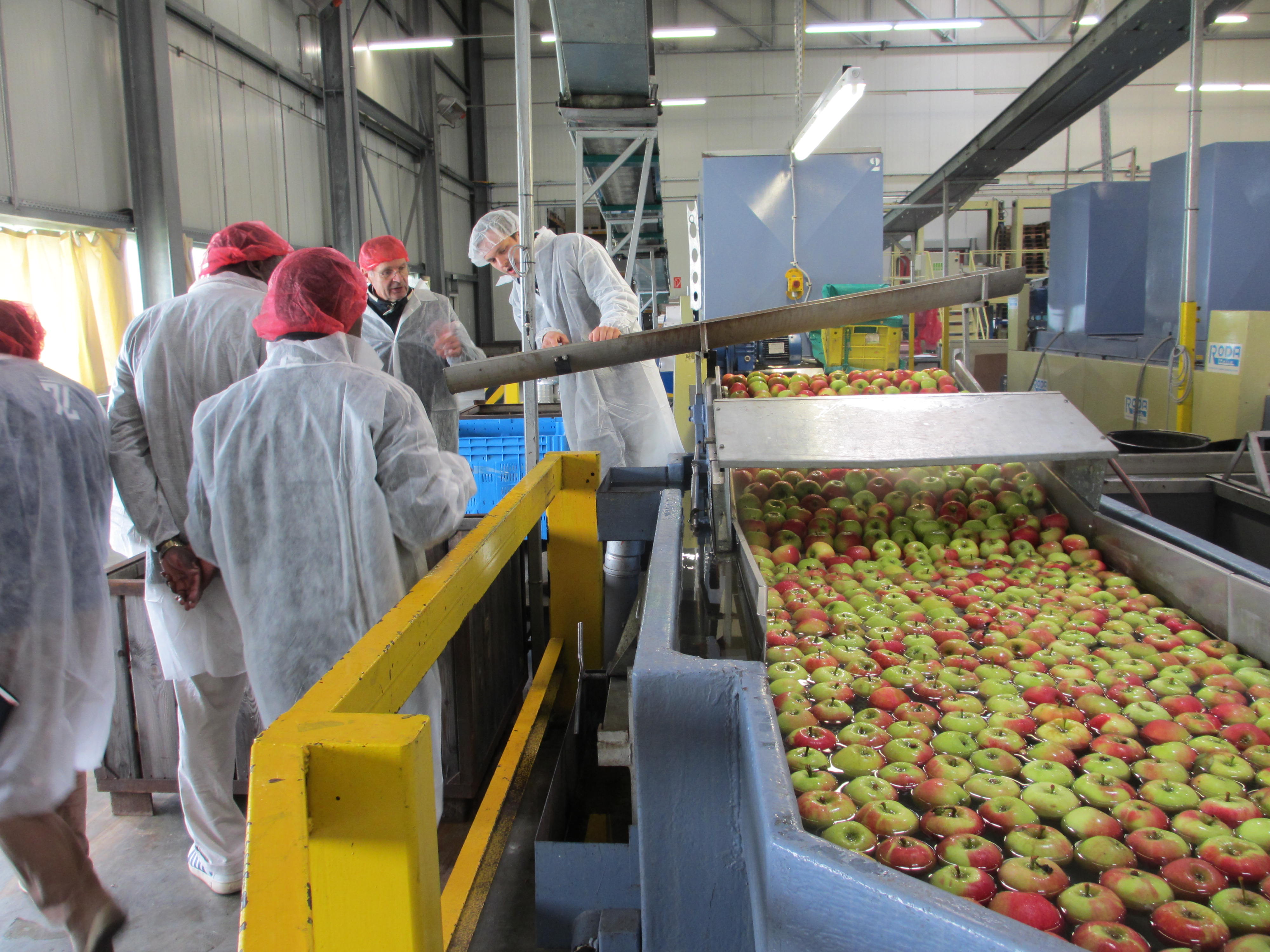 Excursion during the Annual Workshop at Brandenburger Obst