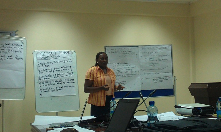 Activity reports by partner institutions Activity reports by partner institutions