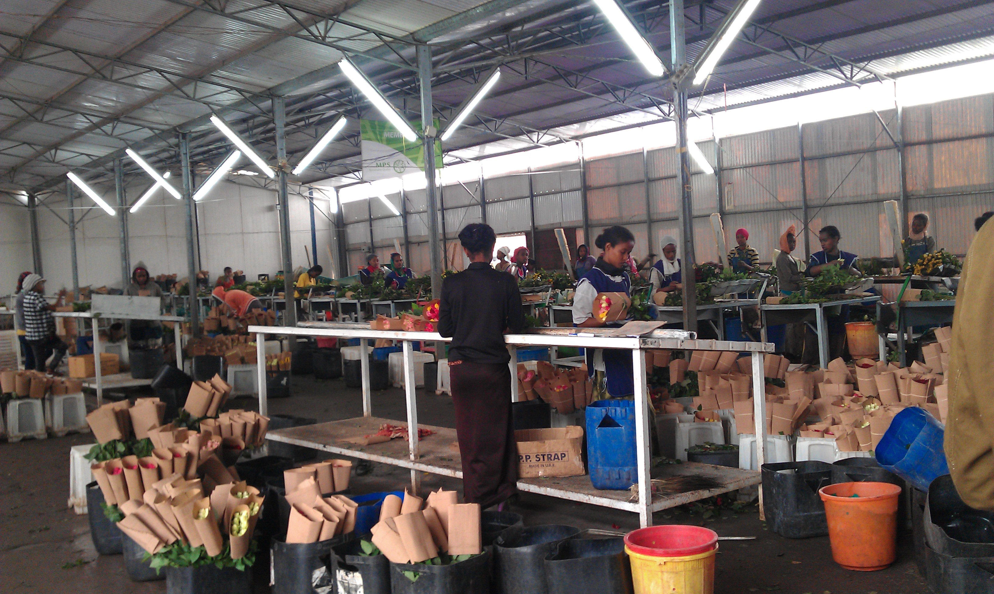 Workshop excursion: Value Chain integration at an export-oriented flower farm